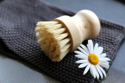 Kitchen Brush