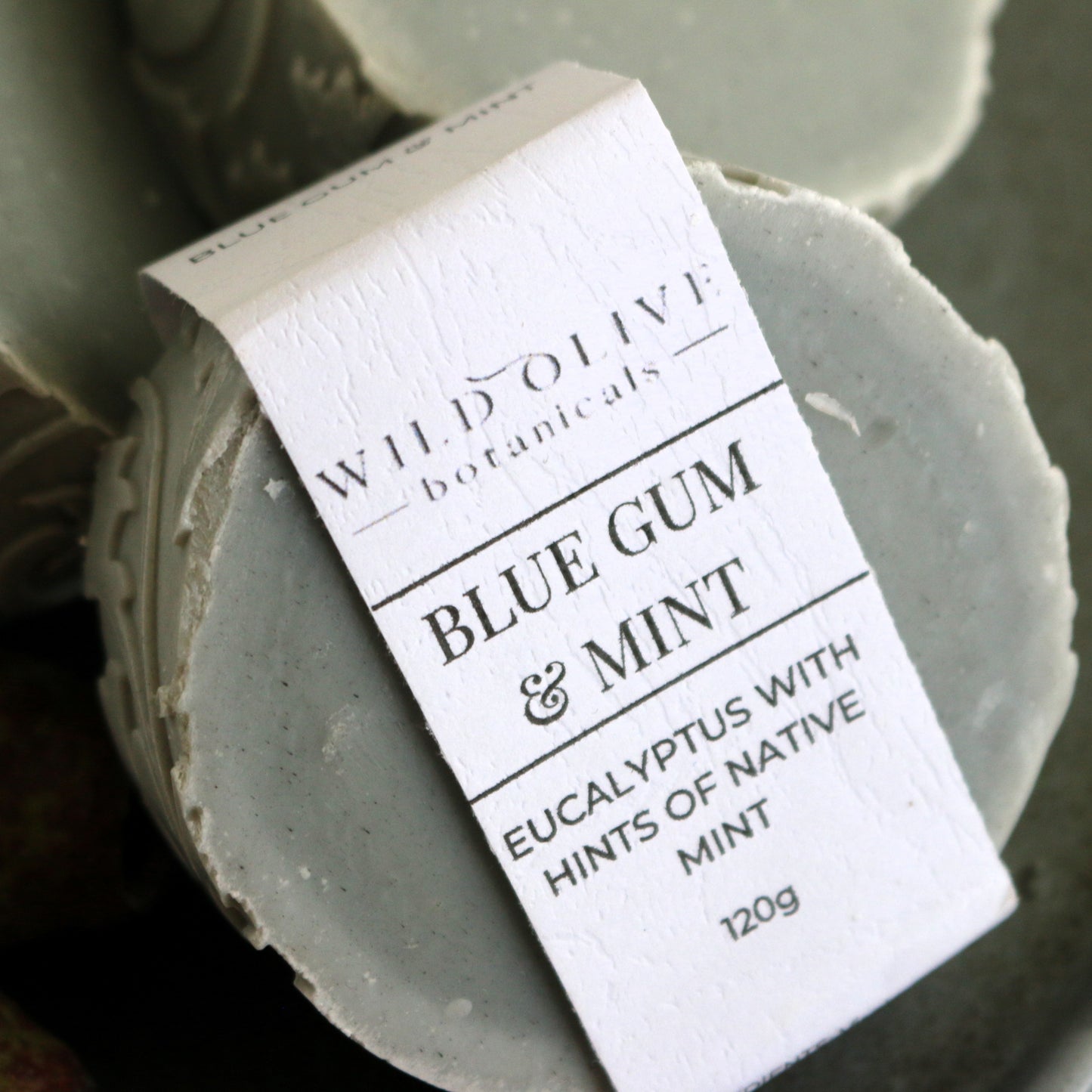 Blue Gum & Mint